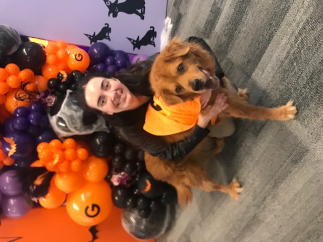 Snickers Legacy Dog Rescue